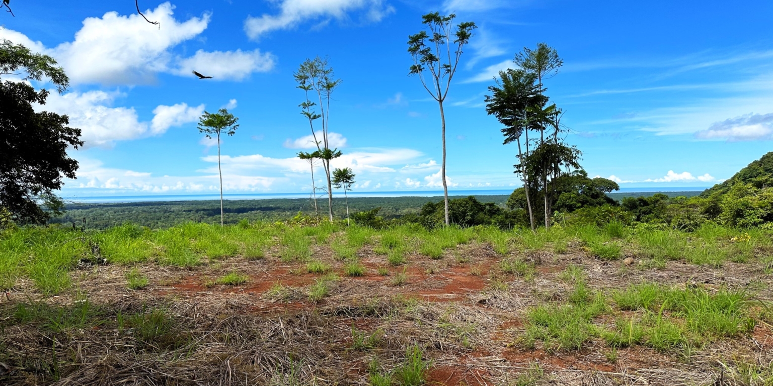 Two Acre Lot with 360-Degree Views of Ocean & Mountains in Chontales Costa Rica