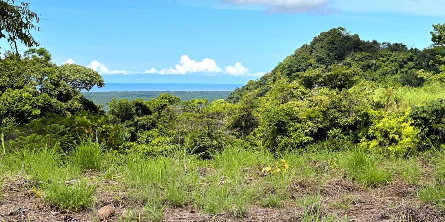Two Acre Lot with 360-Degree Views of Ocean & Mountains in Chontales Costa Rica