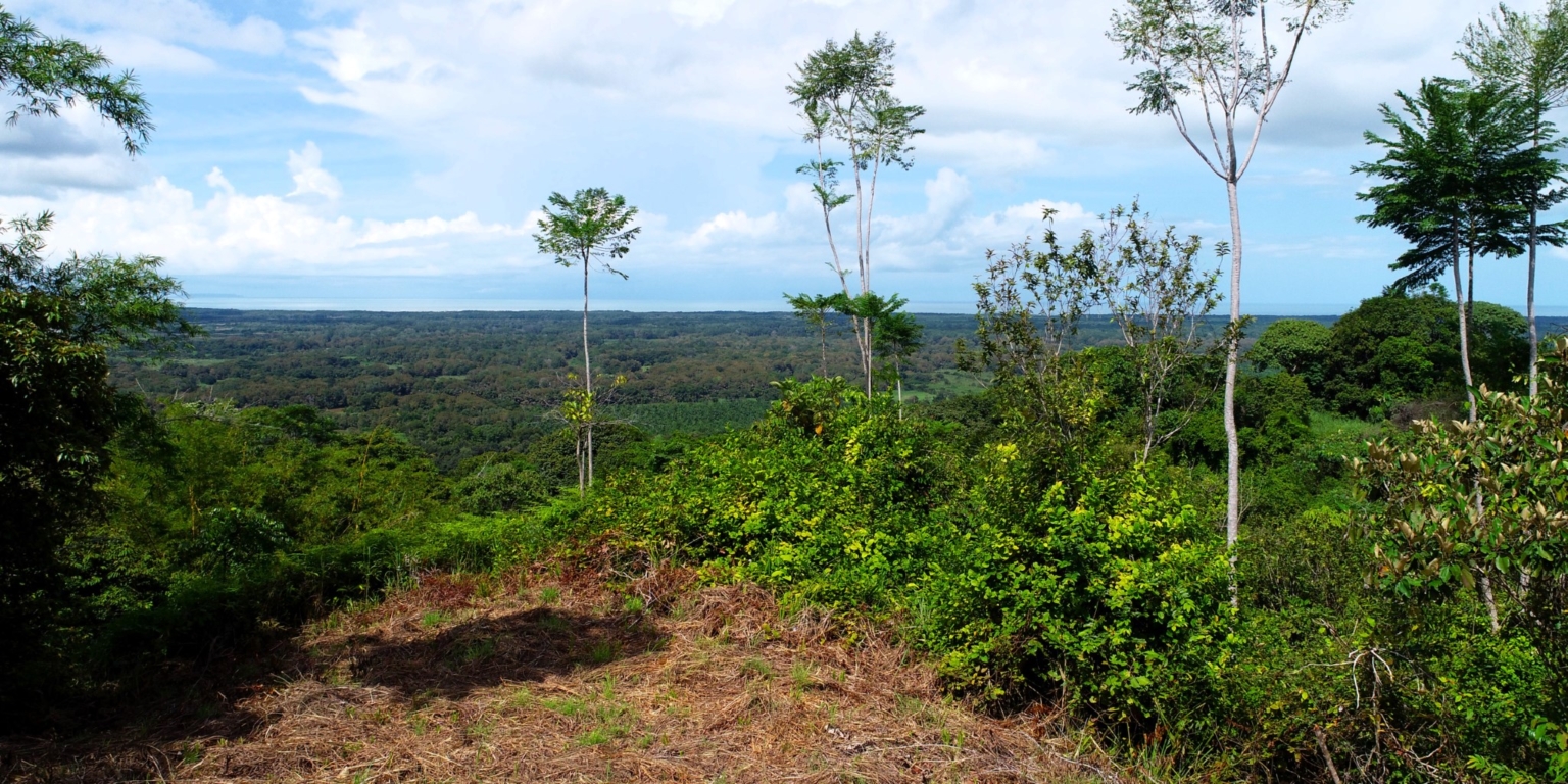 Two Acre Lot with 360-Degree Views of Ocean & Mountains in Chontales Costa Rica
