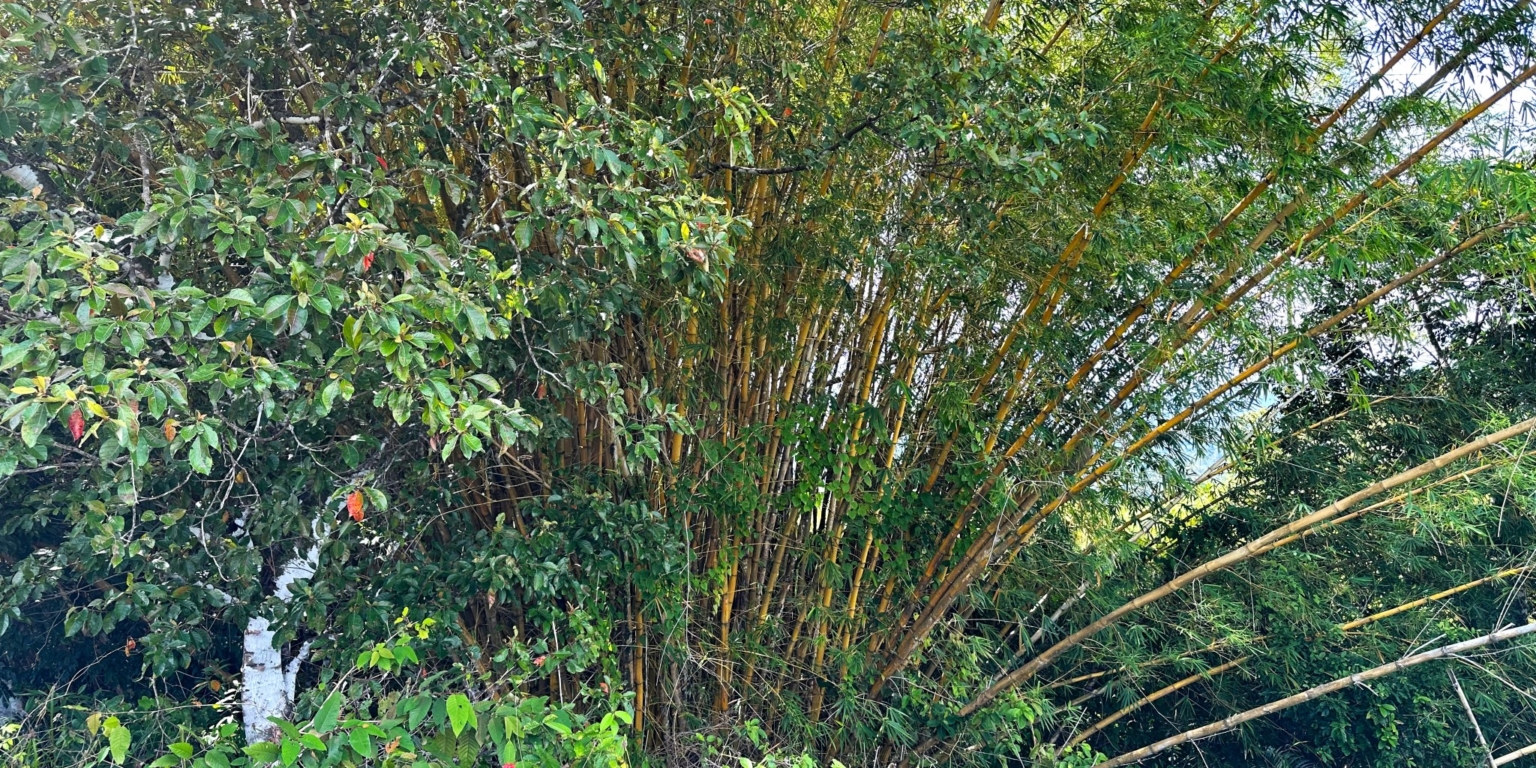 Two Acre Lot with 360-Degree Views of Ocean & Mountains in Chontales Costa Rica