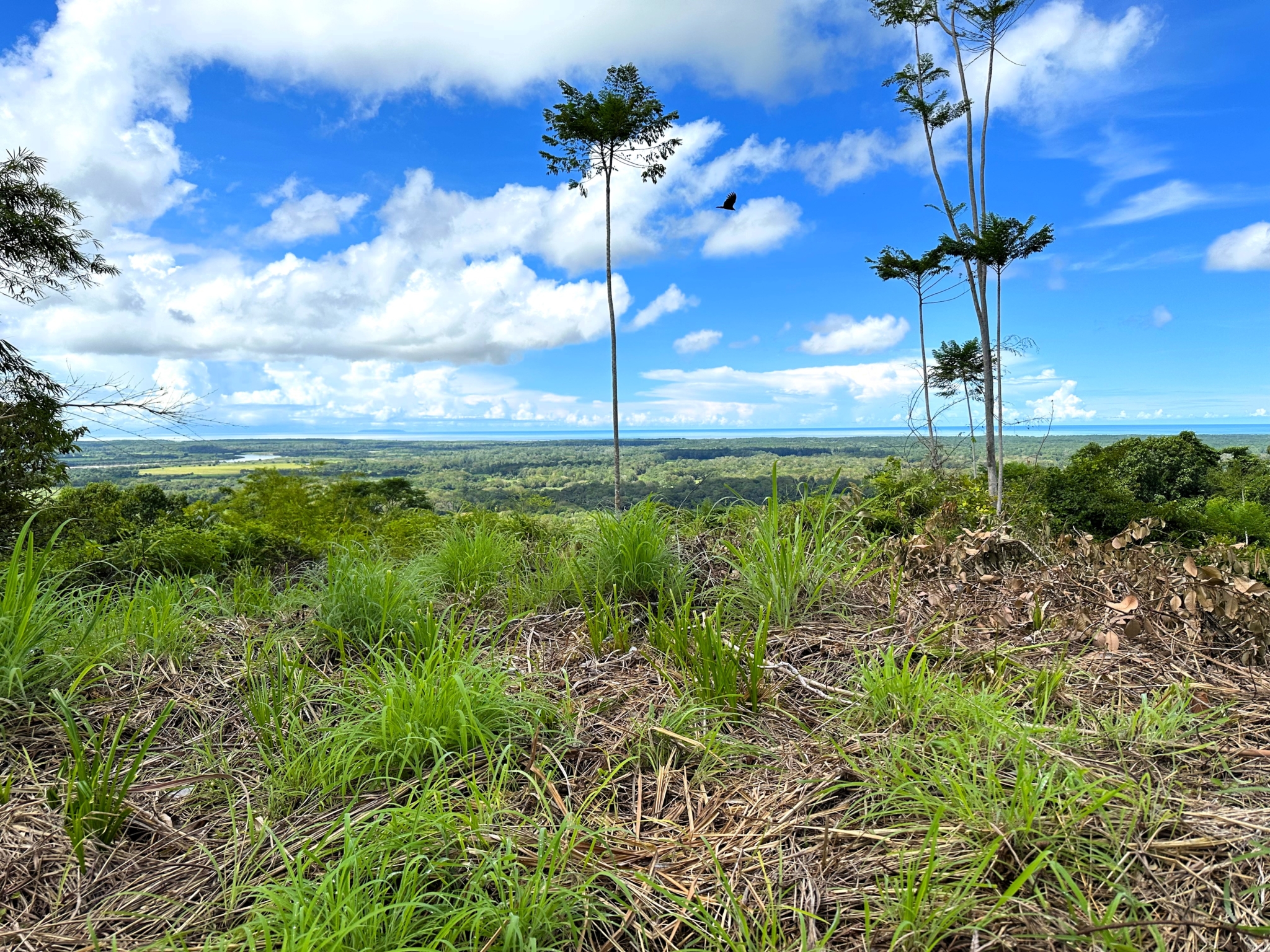 Two Acre Lot with 360-Degree Views of Ocean & Mountains in Chontales Costa Rica