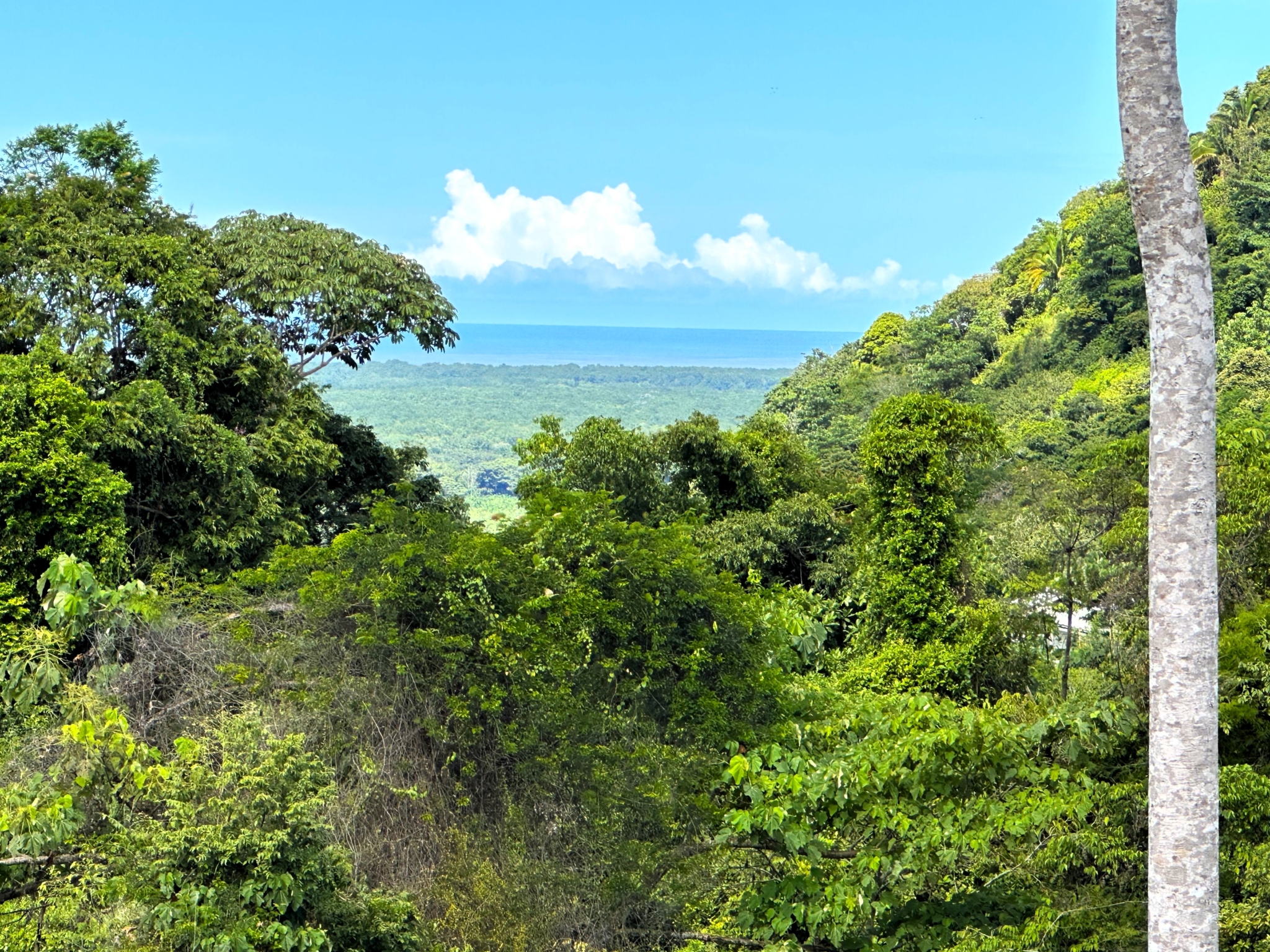 Two Acre Lot with 360-Degree Views of Ocean & Mountains in Chontales Costa Rica