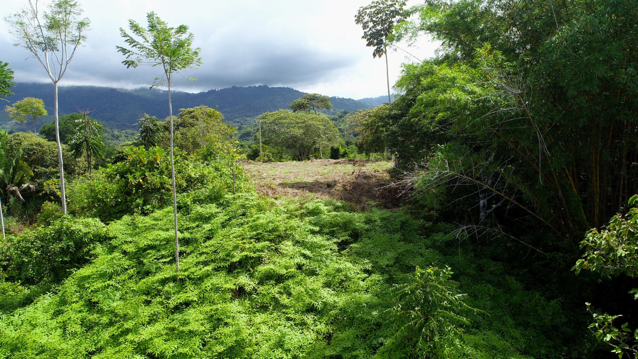 Two Acre Lot with 360-Degree Views of Ocean & Mountains in Chontales Costa Rica