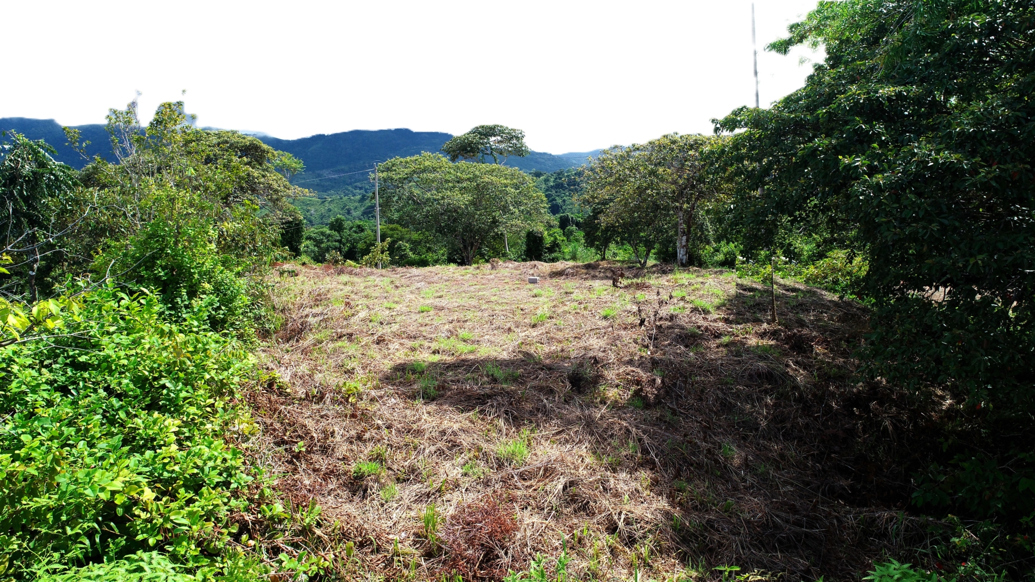 Two Acre Lot with 360-Degree Views of Ocean & Mountains in Chontales Costa Rica
