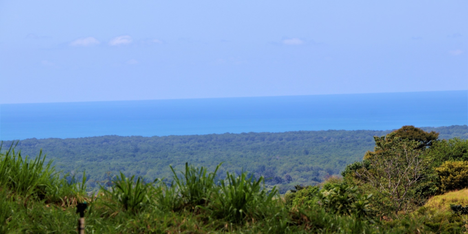 1 (4) Brand New 3-Bedroom Home with Pool in Gated Community in Chontales Costa Rica