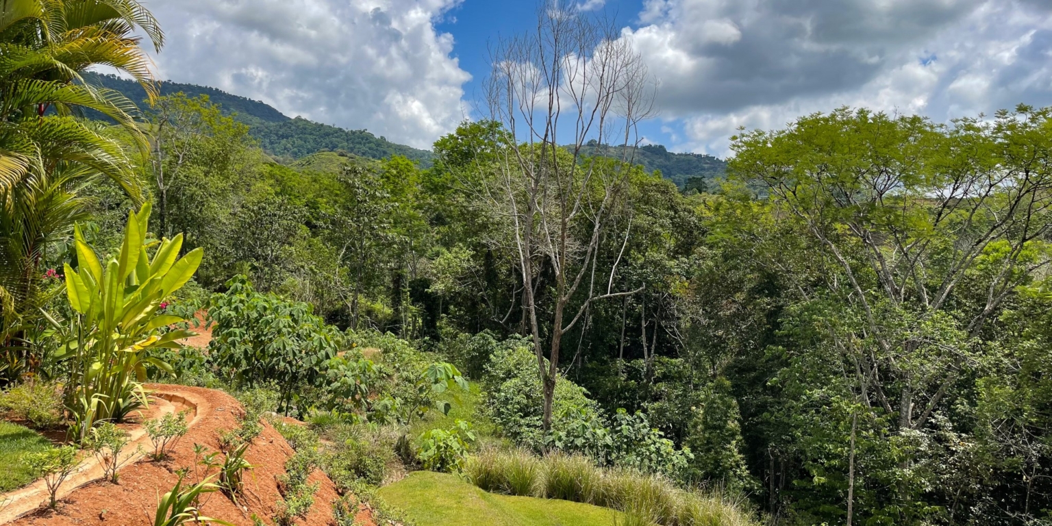 Sunset Ocean View Home with Big Pool & Beautiful Landscaping in Premier Development in Chontales Costa Rica Sunset Ocean View Home with Big Pool & Beautiful Landscaping in Premier Development in Chontales Costa Rica