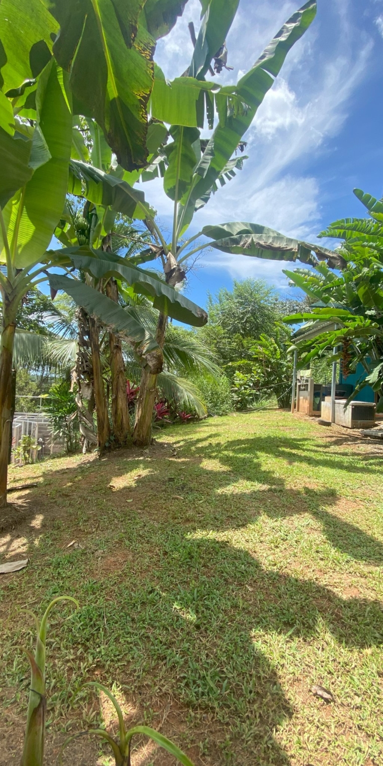 IMG_3706 Beautiful 2-Bedroom River Property in Tres Rios Costa Rica