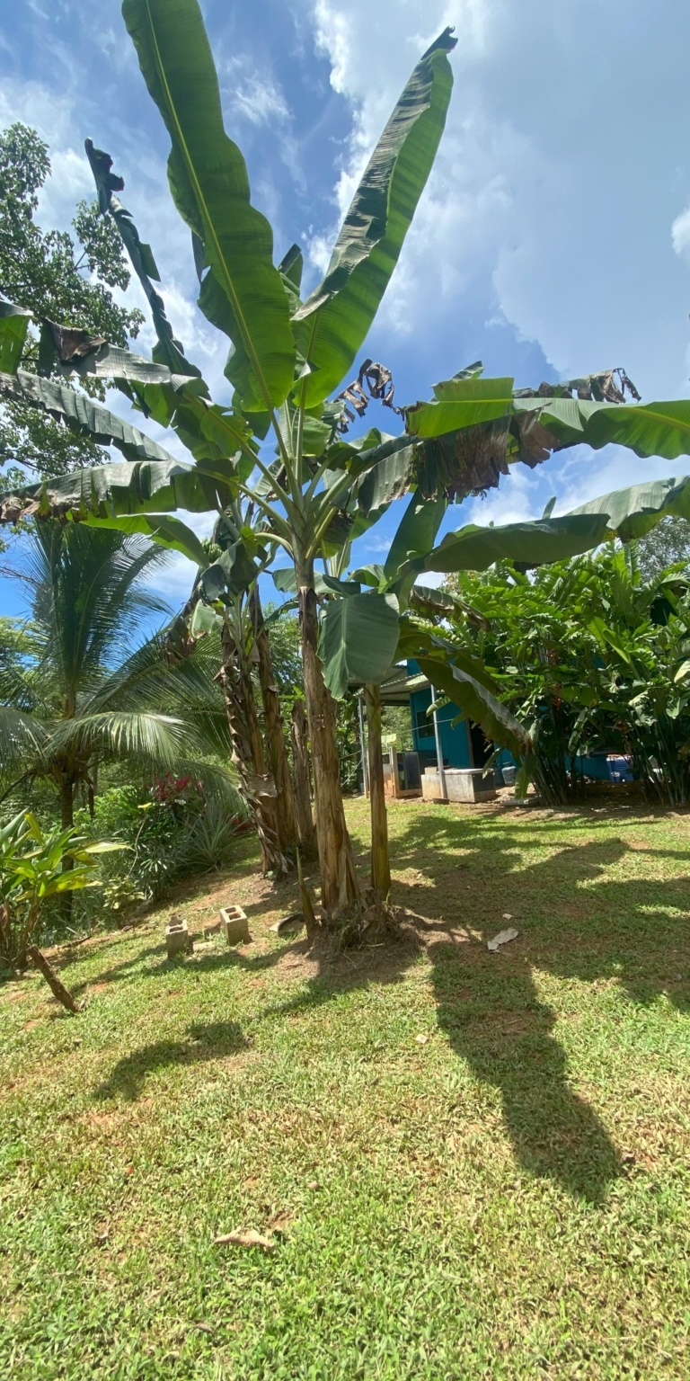 IMG_3709 Beautiful 2-Bedroom River Property in Tres Rios Costa Rica