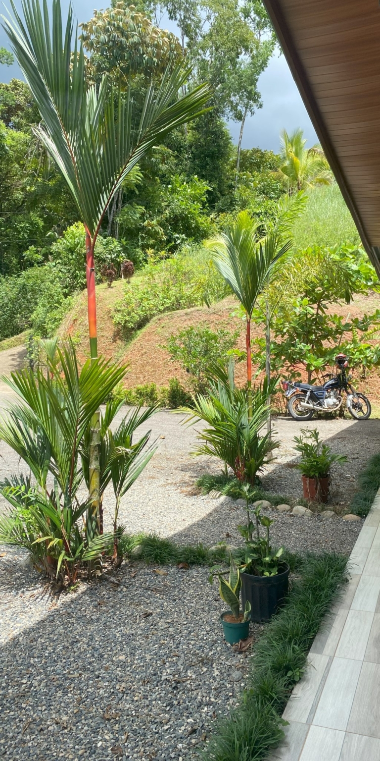 IMG_3727 Beautiful 2-Bedroom River Property in Tres Rios Costa Rica