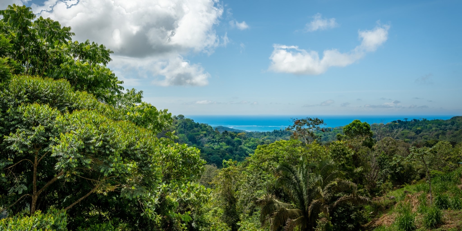 DSC09481-HDR Amazing Brand New Whale’s Tail & Ocean View 3-Bedroom Home in San Josesito above Uvita Costa Rica