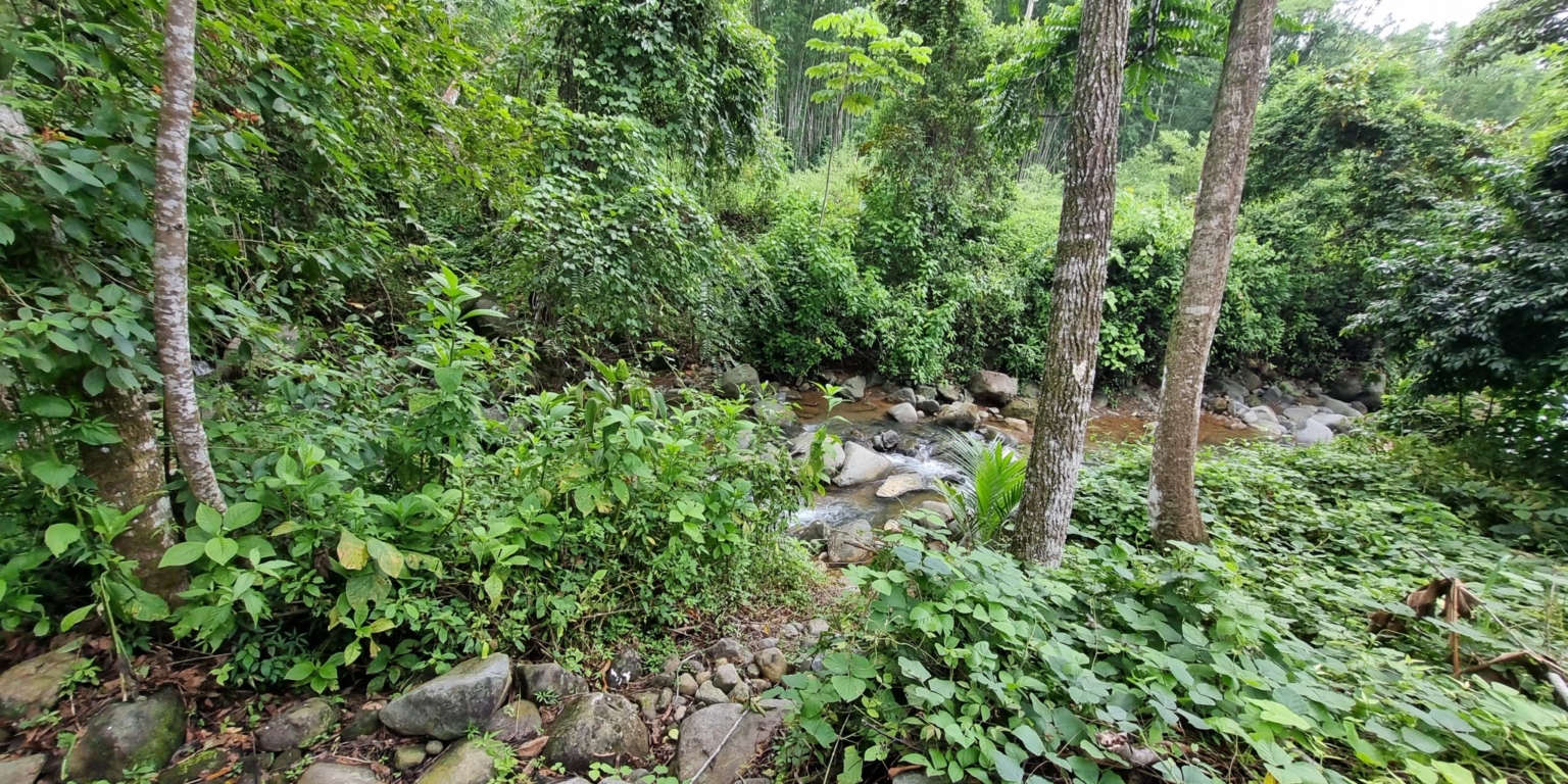 20230927_104621 Cozy & Simple 2-Bedroom Home Near the River & Nature in Uvita Costa Rica