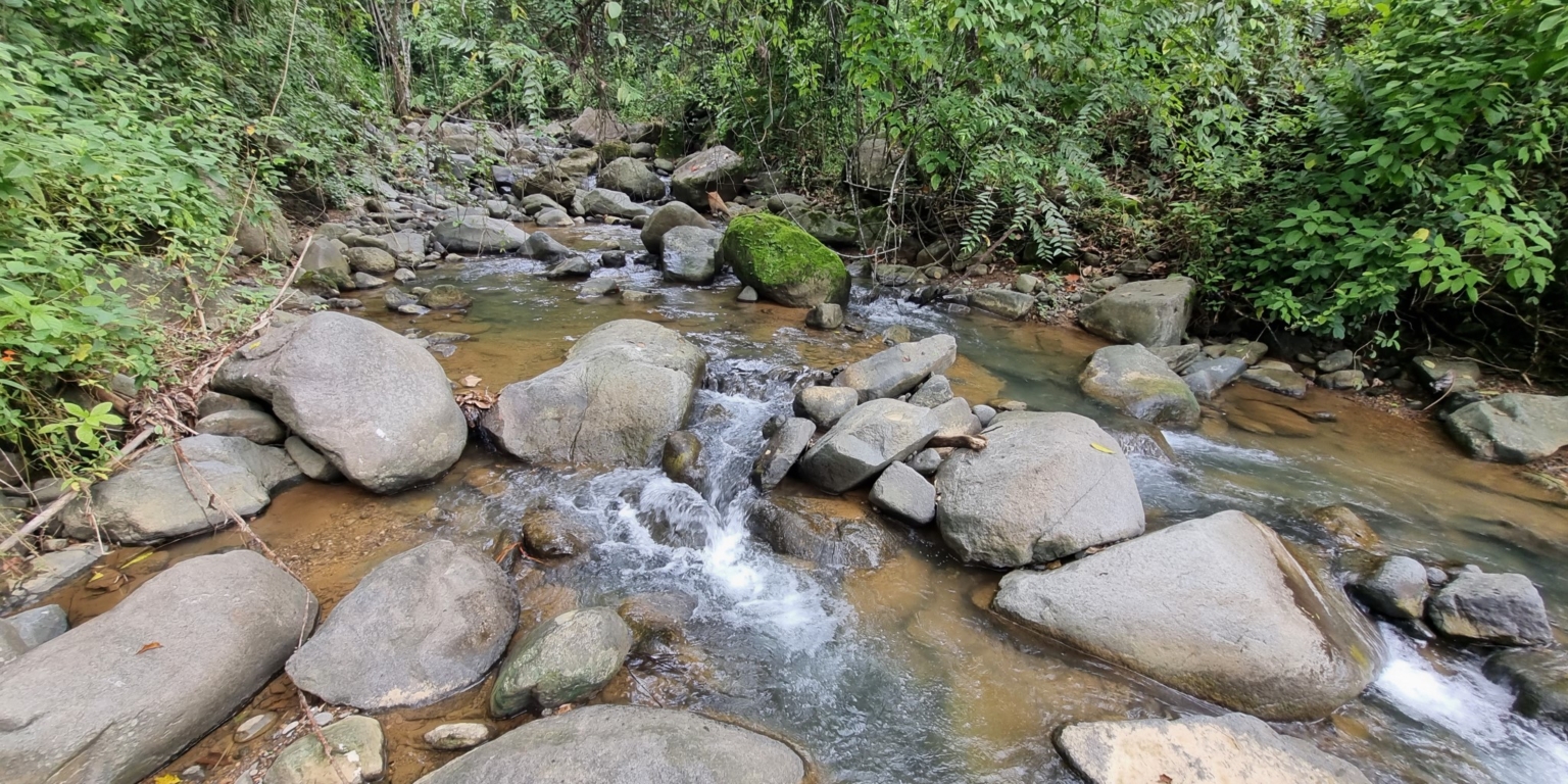 20230927_104655 Cozy & Simple 2-Bedroom Home Near the River & Nature in Uvita Costa Rica