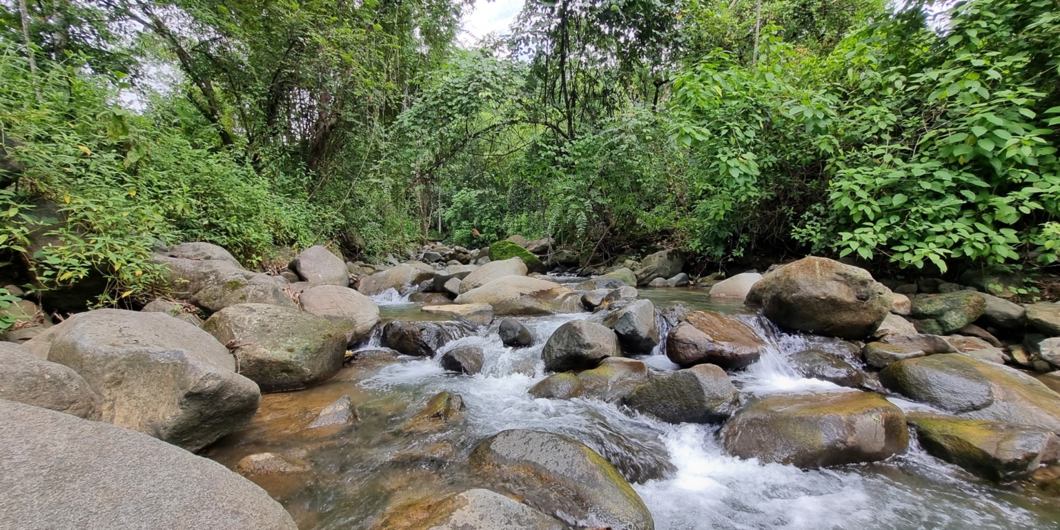 20230927_104730 Cozy & Simple 2-Bedroom Home Near the River & Nature in Uvita Costa Rica