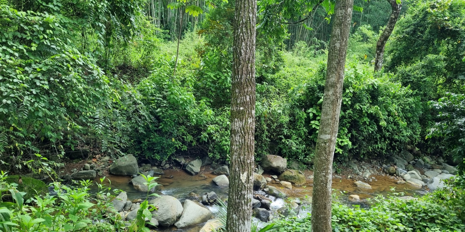 20230927_110229 Cozy & Simple 2-Bedroom Home Near the River & Nature in Uvita Costa Rica