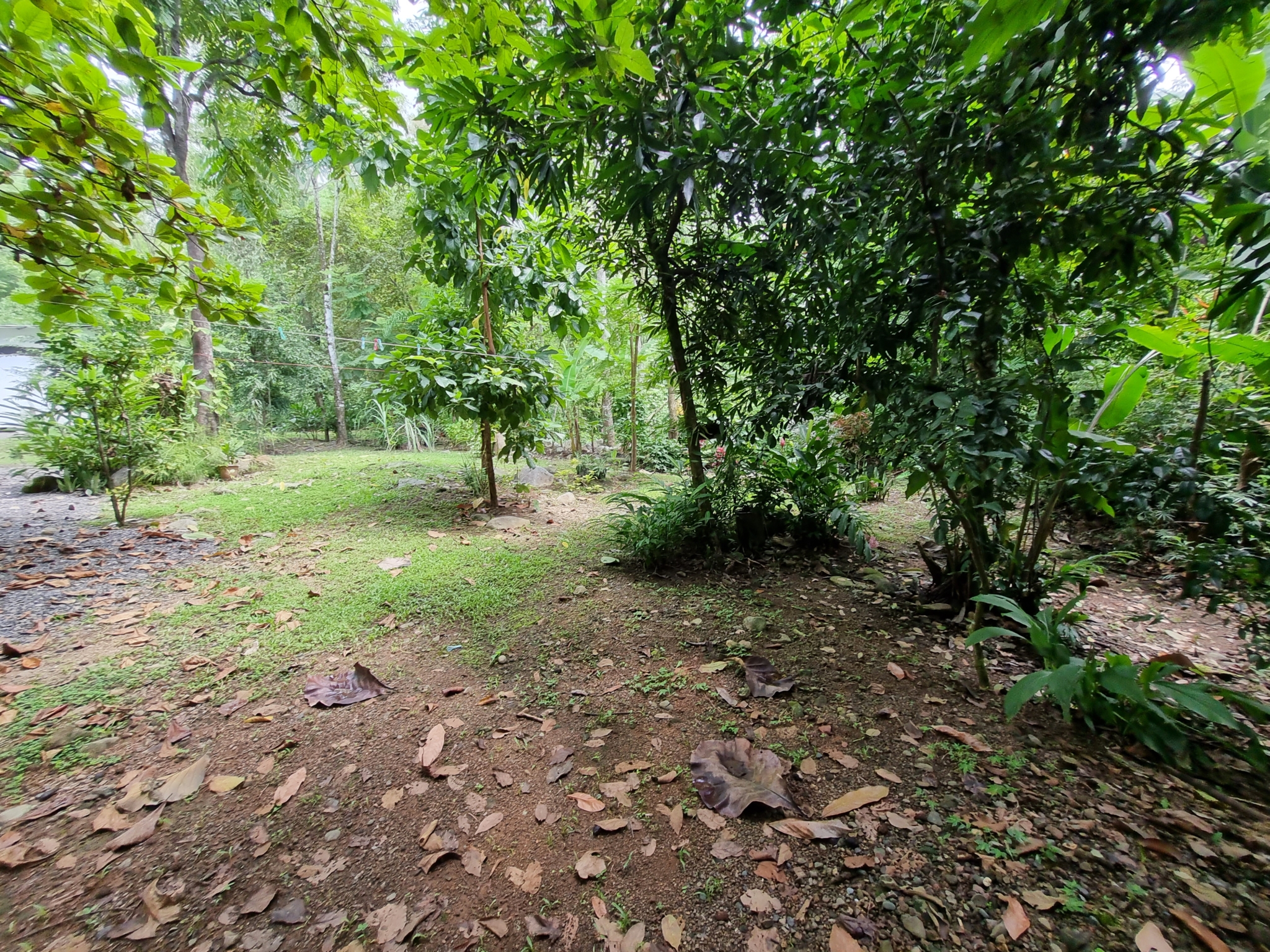 20230927_110026 Cozy & Simple 2-Bedroom Home Near the River & Nature in Uvita Costa Rica