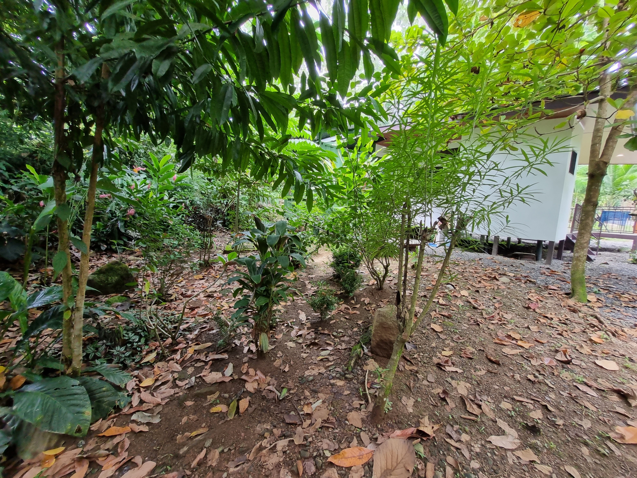 20230927_110034 Cozy & Simple 2-Bedroom Home Near the River & Nature in Uvita Costa Rica