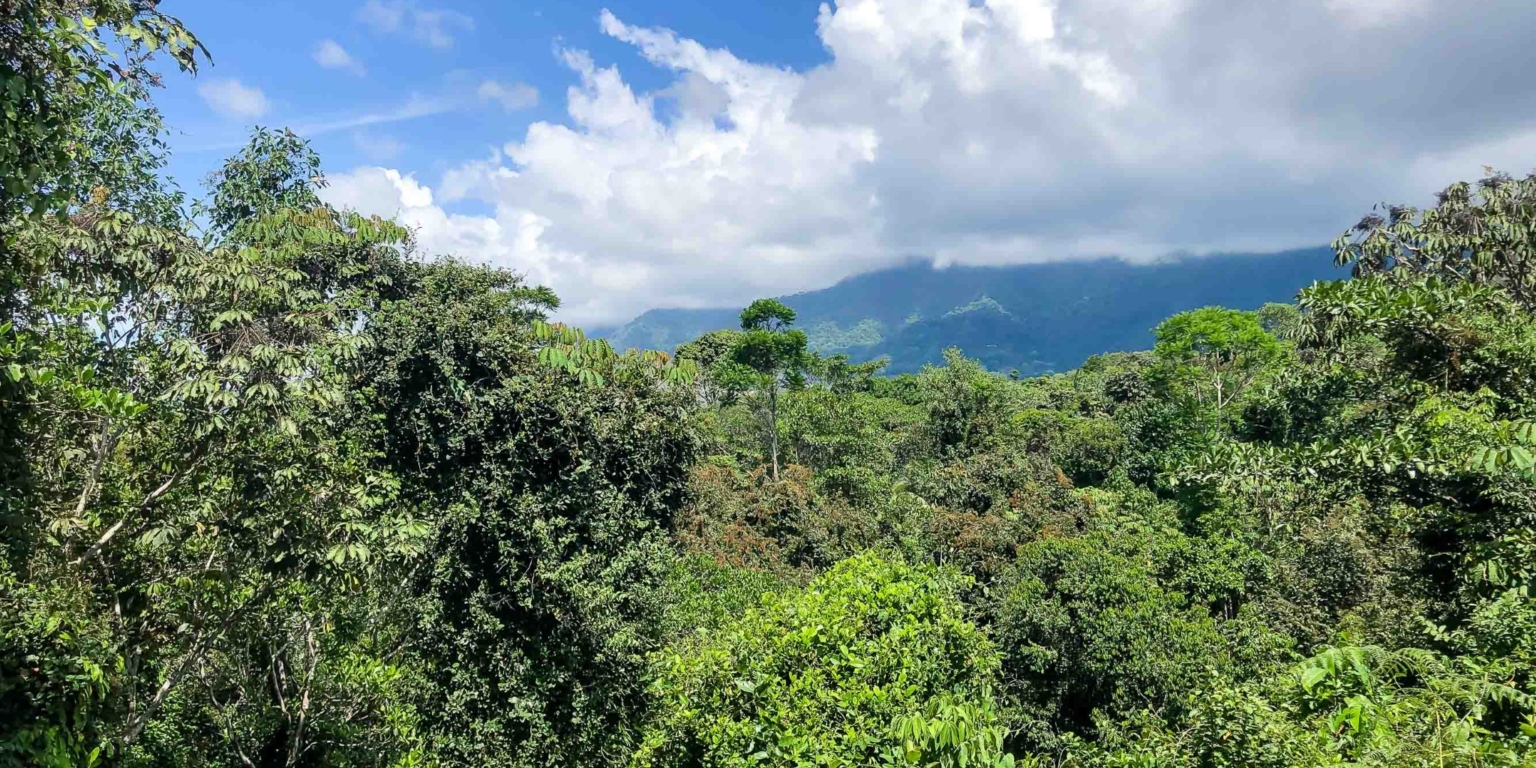family-home-on-3-mountain-view-lots-12 Family 2-Bedroom Home with Rental Opportunity Family Home on 3 Mountain View Lots in Ojochal Costa Rica