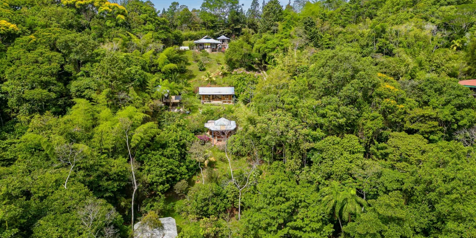 One of a Kind Mountain view Retreat Center with Mature Trees Immersed in Nature in Platanillo above Dominical Costa Rica One of a Kind Mountain view Retreat Center with Mature Trees Immersed in Nature in Platanillo above Dominical Costa Rica