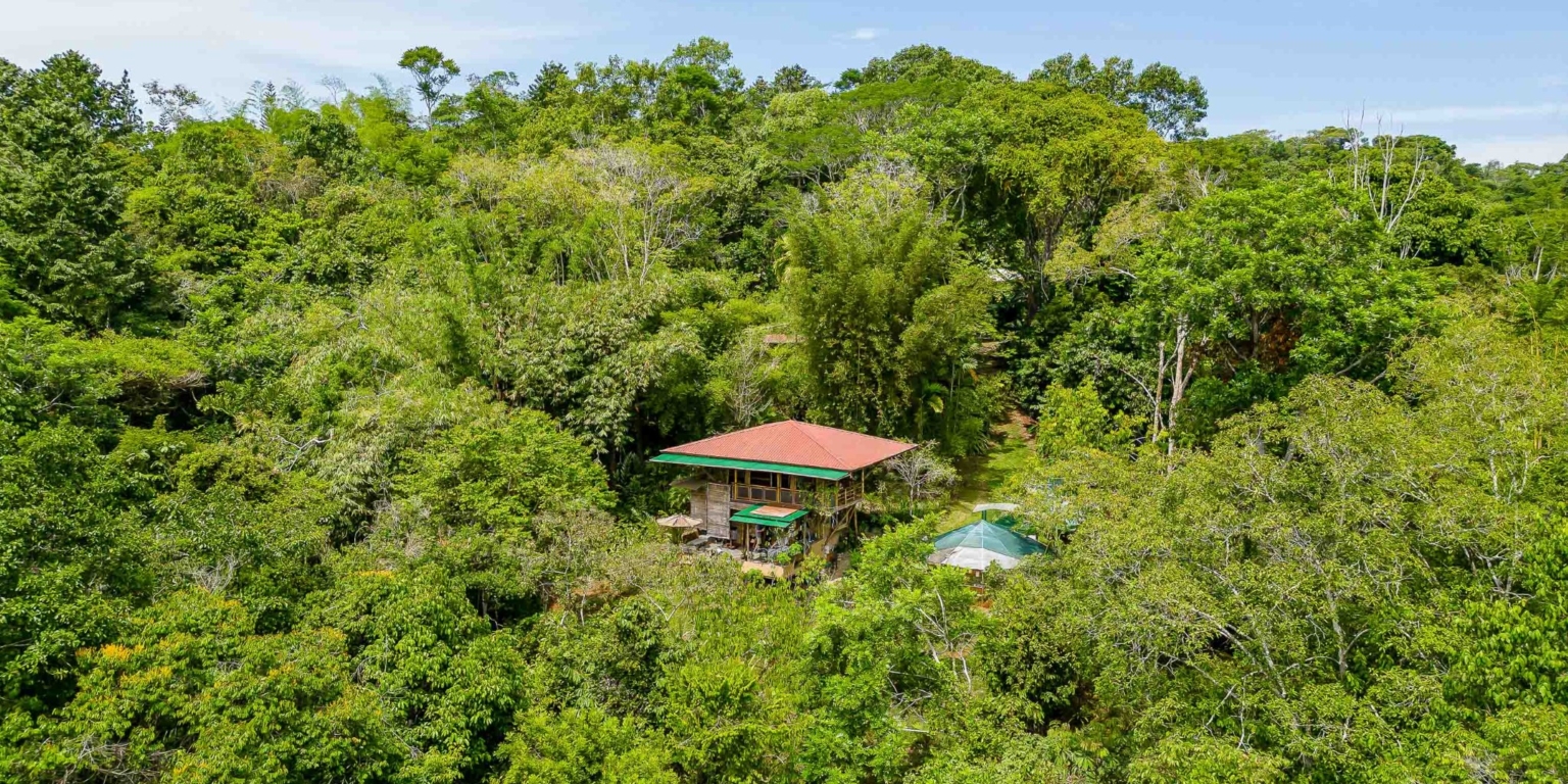 One of a Kind Mountain view Retreat Center with Mature Trees Immersed in Nature in Platanillo above Dominical Costa Rica One of a Kind Mountain view Retreat Center with Mature Trees Immersed in Nature in Platanillo above Dominical Costa Rica