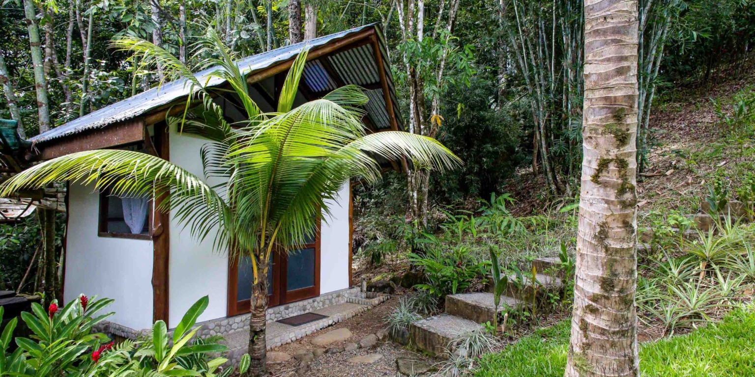 One of a Kind Mountain view Retreat Center with Mature Trees Immersed in Nature in Platanillo above Dominical Costa Rica One of a Kind Mountain view Retreat Center with Mature Trees Immersed in Nature in Platanillo above Dominical Costa Rica