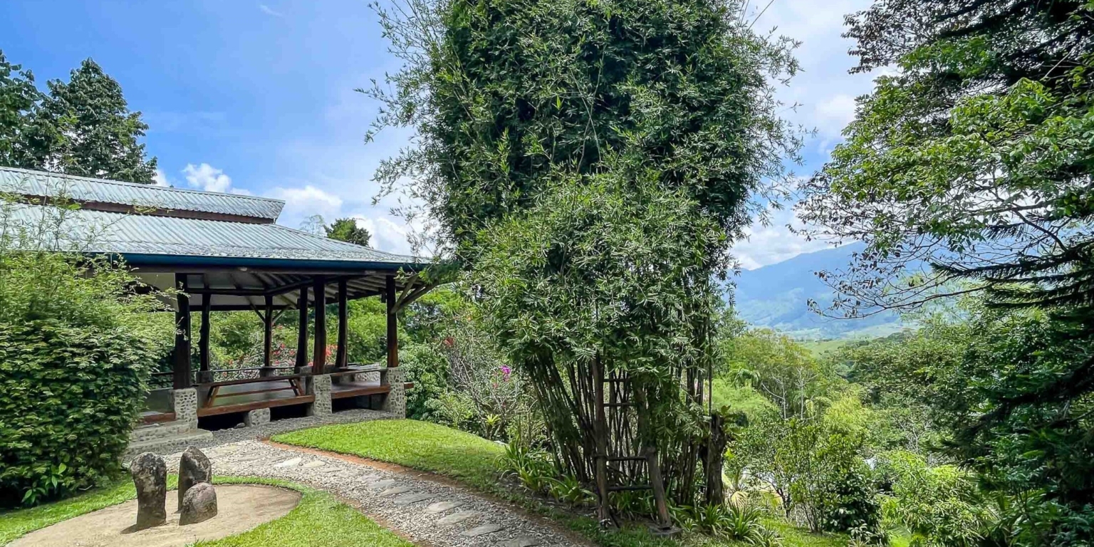 One of a Kind Mountain view Retreat Center with Mature Trees Immersed in Nature in Platanillo above Dominical Costa Rica One of a Kind Mountain view Retreat Center with Mature Trees Immersed in Nature in Platanillo above Dominical Costa Rica