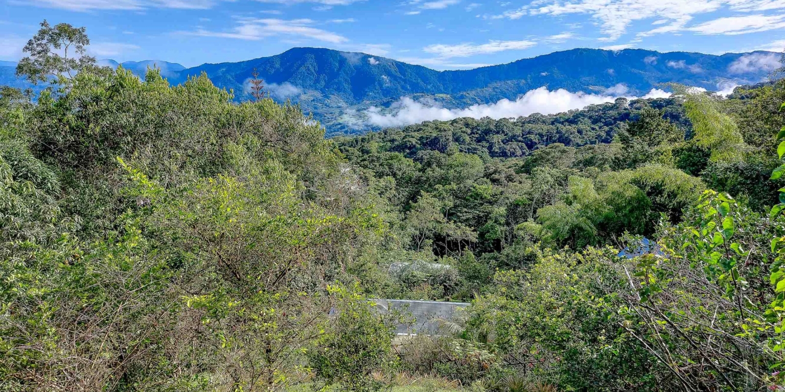 One of a Kind Mountain view Retreat Center with Mature Trees Immersed in Nature in Platanillo above Dominical Costa Rica One of a Kind Mountain view Retreat Center with Mature Trees Immersed in Nature in Platanillo above Dominical Costa Rica