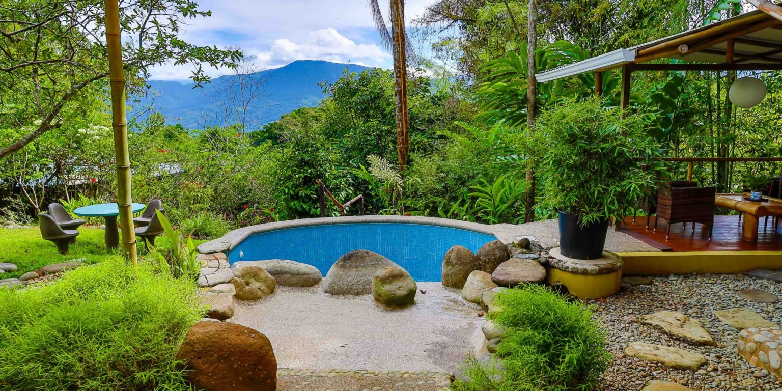 One of a Kind Mountain view Retreat Center with Mature Trees Immersed in Nature in Platanillo above Dominical Costa Rica One of a Kind Mountain view Retreat Center with Mature Trees Immersed in Nature in Platanillo above Dominical Costa Rica