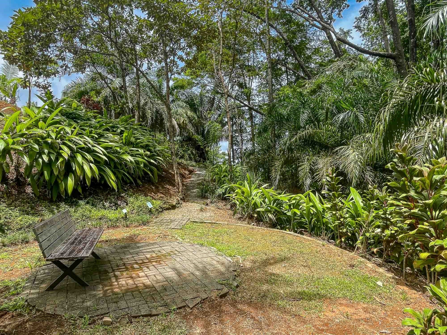 impeccable-estate-and-reserve-uvita-32 Achiote Reserve with Uncompromised Privacy & Security on this Impeccable Bali-Style Whale-Tail & Ocean View Estate & Reserve in Uvita Costa Rica