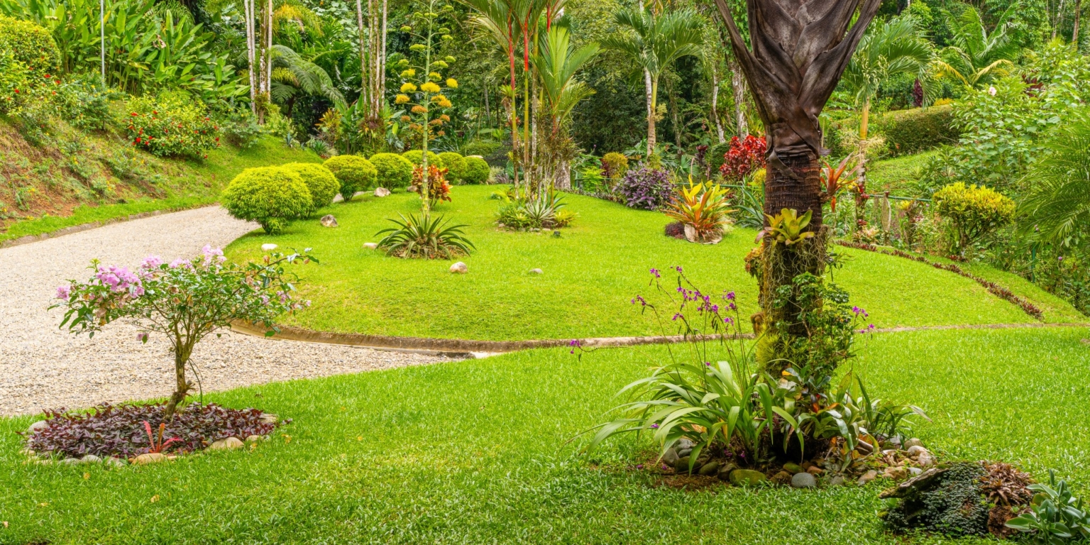 Spacious & Beautiful 3-Bedroom Ocean View Home on 3.5 Acres in a Gated Community in Platanillo above Dominical Costa Rica Spacious & Beautiful 3-Bedroom Ocean View Home on 3.5 Acres in a Gated Community in Platanillo above Dominical Costa Rica