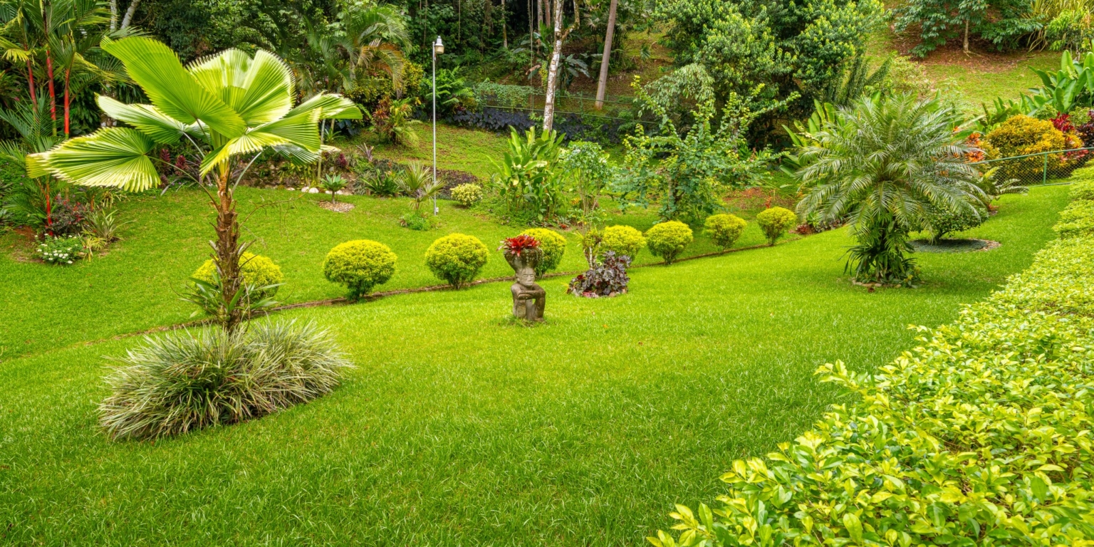 Spacious & Beautiful 3-Bedroom Ocean View Home on 3.5 Acres in a Gated Community in Platanillo above Dominical Costa Rica Spacious & Beautiful 3-Bedroom Ocean View Home on 3.5 Acres in a Gated Community in Platanillo above Dominical Costa Rica