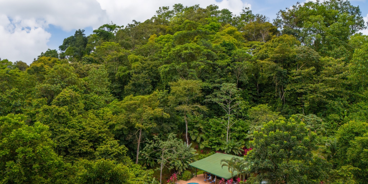 Beautiful 2-Bedroom Wood Home with Acre of Land & Very Private in Finca Maranon in Ojochal Costa Rica Beautiful 2-Bedroom Wood Home with Acre of Land & Very Private in Finca Maranon in Ojochal Costa Rica