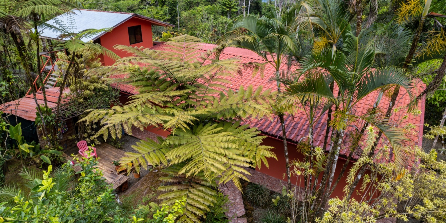 Steve-18 Beautiful Farm with 2-Bedroom House & Room to Grow Food in Tinamastes above Dominical Costa Rica