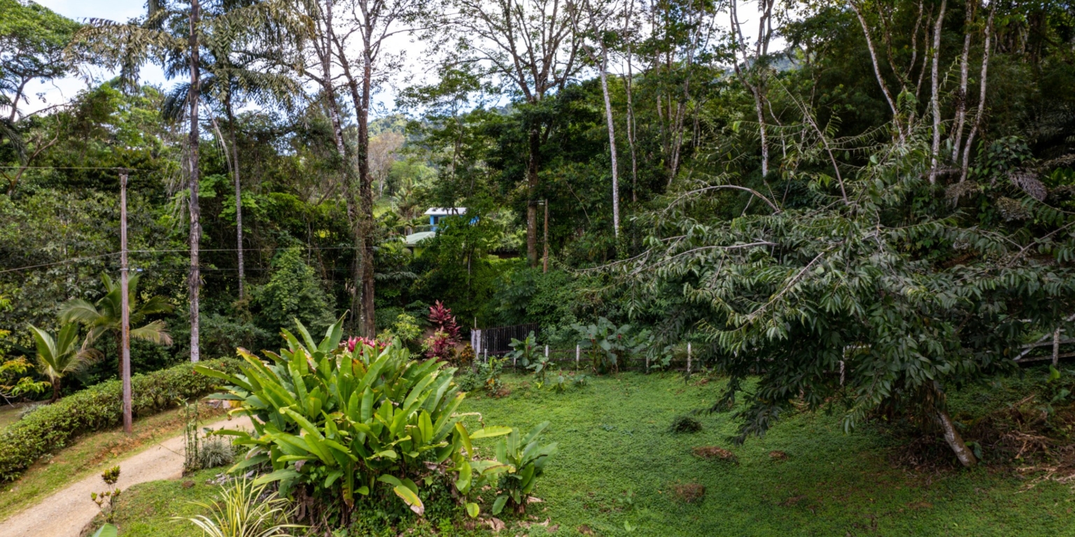 Steve-29 Beautiful Farm with 2-Bedroom House & Room to Grow Food in Tinamastes above Dominical Costa Rica
