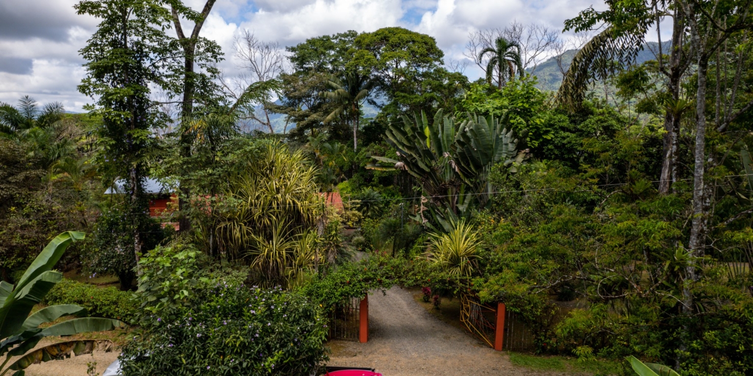 Steve-30 Beautiful Farm with 2-Bedroom House & Room to Grow Food in Tinamastes above Dominical Costa Rica