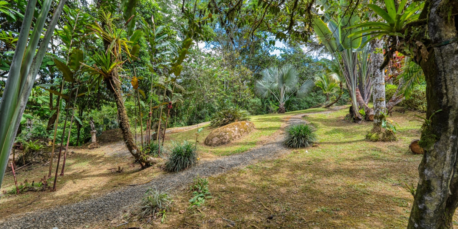 Steve-34 Beautiful Farm with 2-Bedroom House & Room to Grow Food in Tinamastes above Dominical Costa Rica
