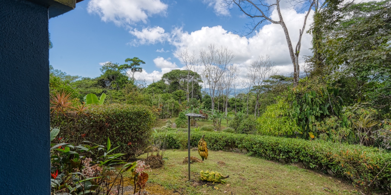 Steve-57 Beautiful Farm with 2-Bedroom House & Room to Grow Food in Tinamastes above Dominical Costa Rica
