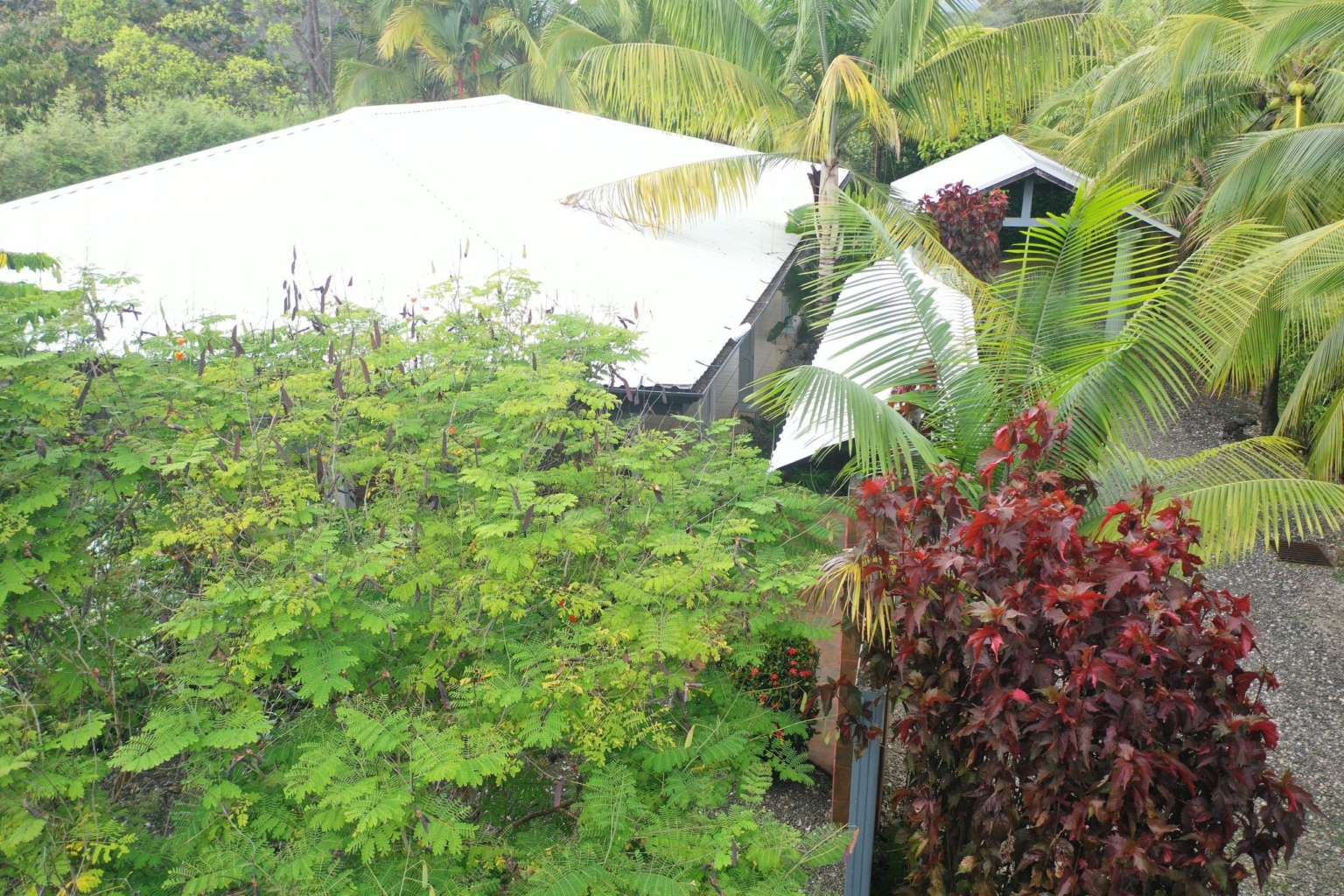 ewiNUFoI (1) Walk-to-Beach 2-Bedroom Home with Room to Expand & Incredible Location in Bahia near Uvita Costa Rica