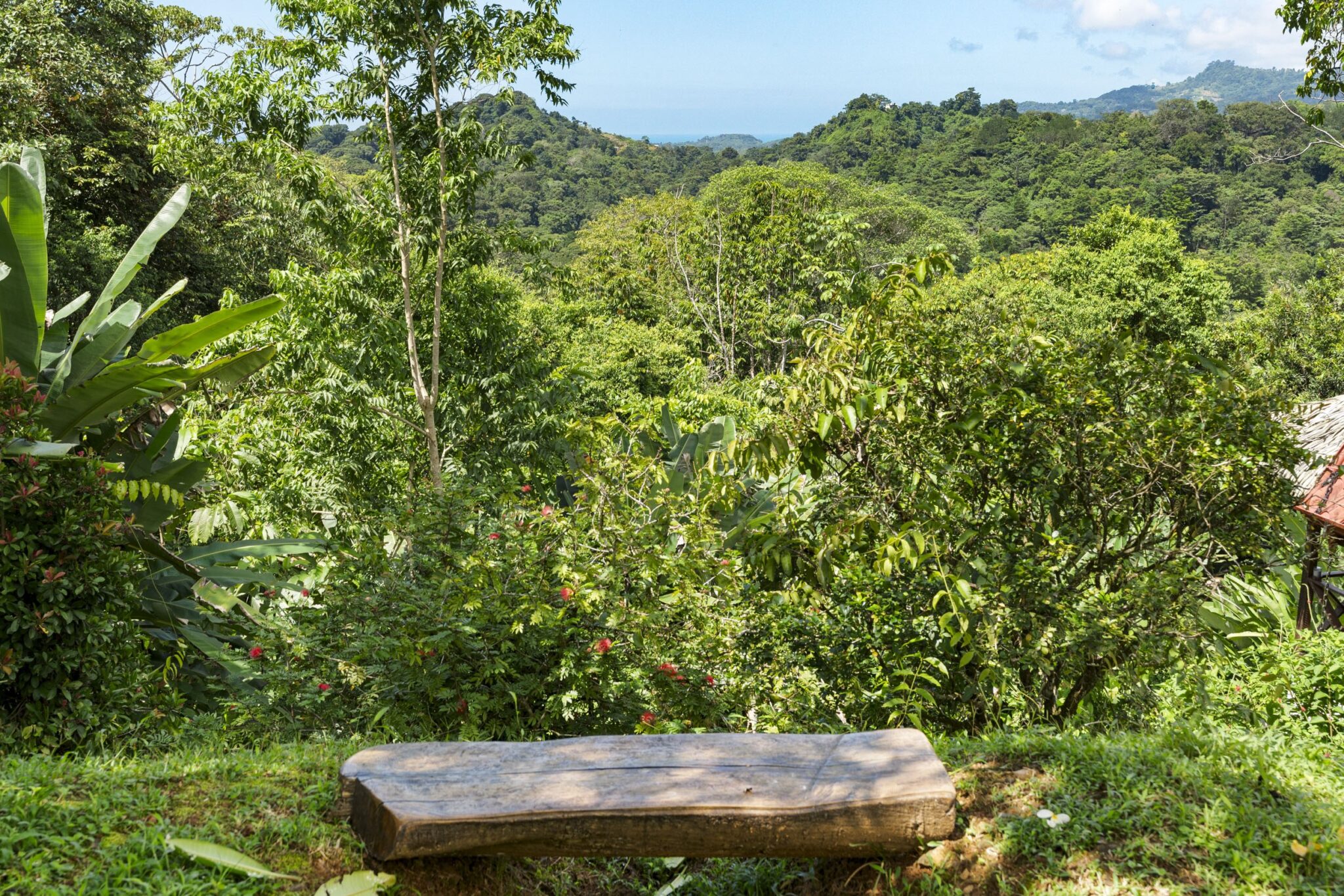 Tres Rios (Vergel) Bungalow Cozy Sunset Ocean-View Bungalow on 3.5 Acres of Jungle with Creeks, & Abundant Wildlife in Tres Rios Costa Rica