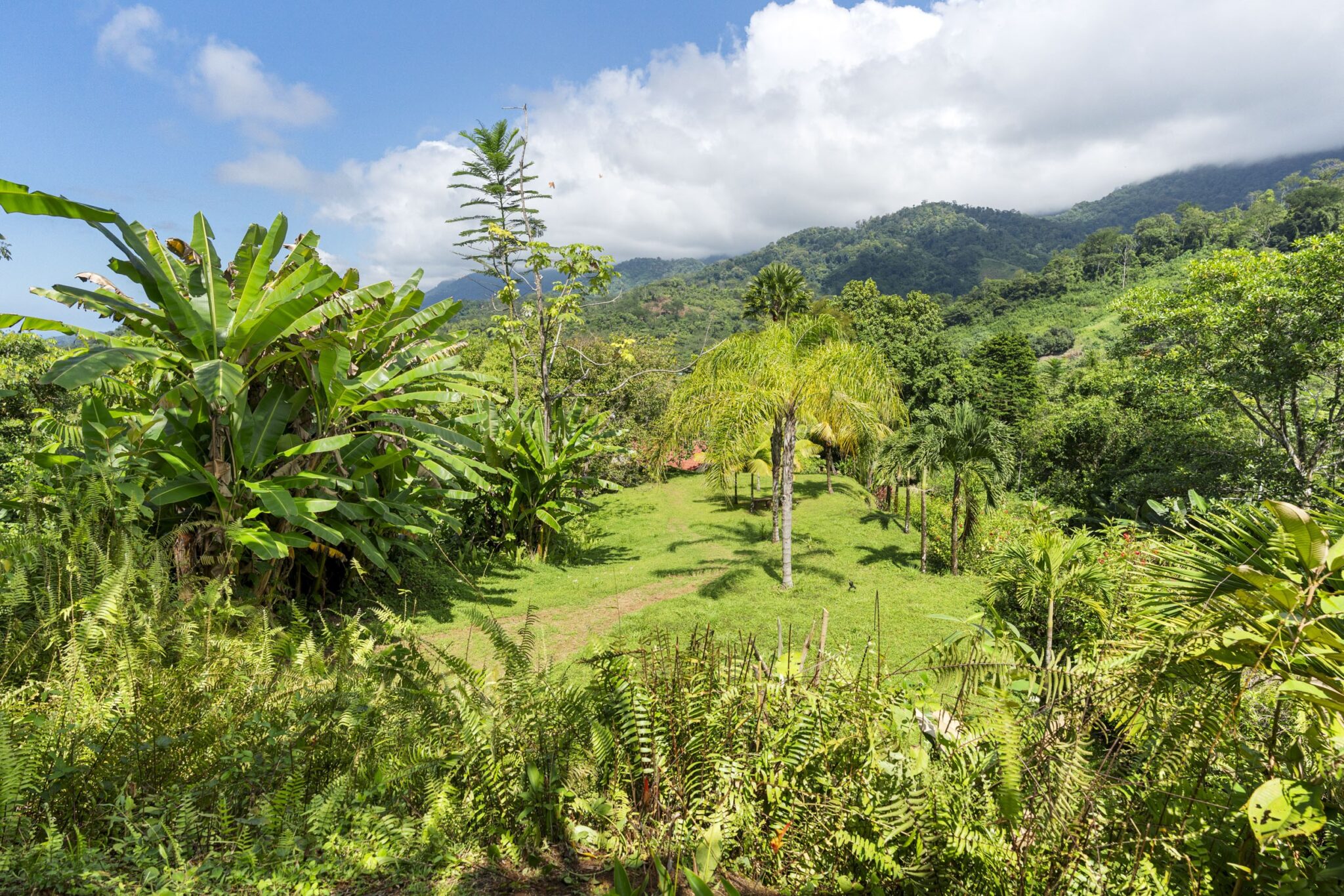 Tres Rios (Vergel) Bungalow Cozy Sunset Ocean-View Bungalow on 3.5 Acres of Jungle with Creeks, & Abundant Wildlife in Tres Rios Costa Rica