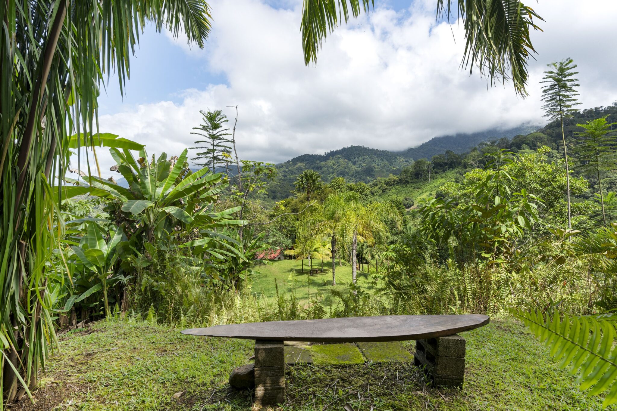 Tres Rios (Vergel) Bungalow Cozy Sunset Ocean-View Bungalow on 3.5 Acres of Jungle with Creeks, & Abundant Wildlife in Tres Rios Costa Rica