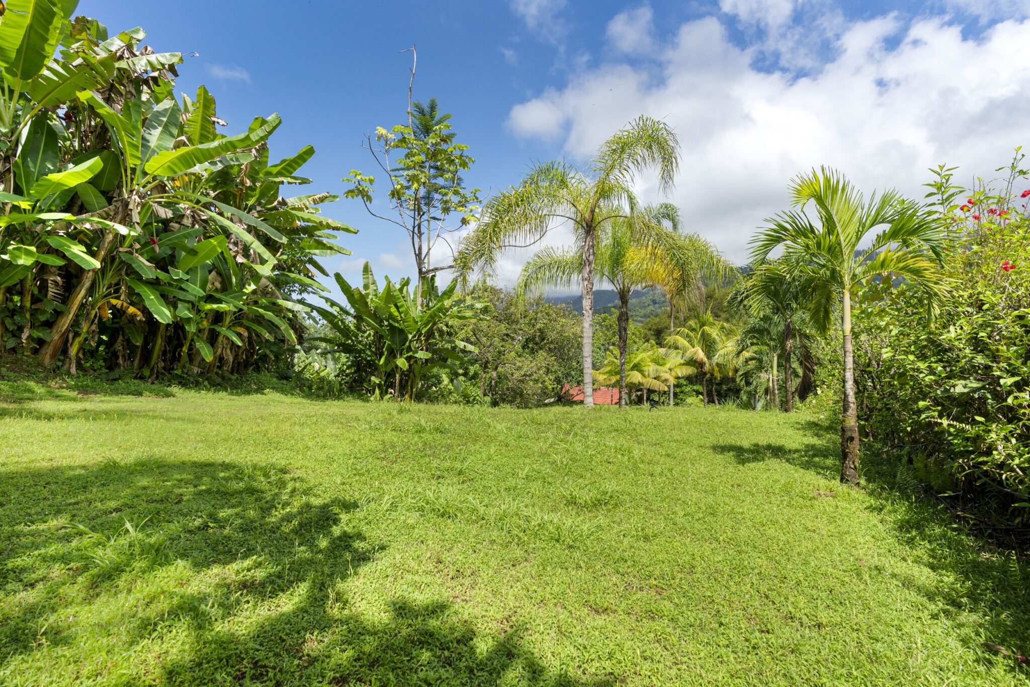 Tres Rios (Vergel) Bungalow Cozy Sunset Ocean-View Bungalow on 3.5 Acres of Jungle with Creeks, & Abundant Wildlife in Tres Rios Costa Rica