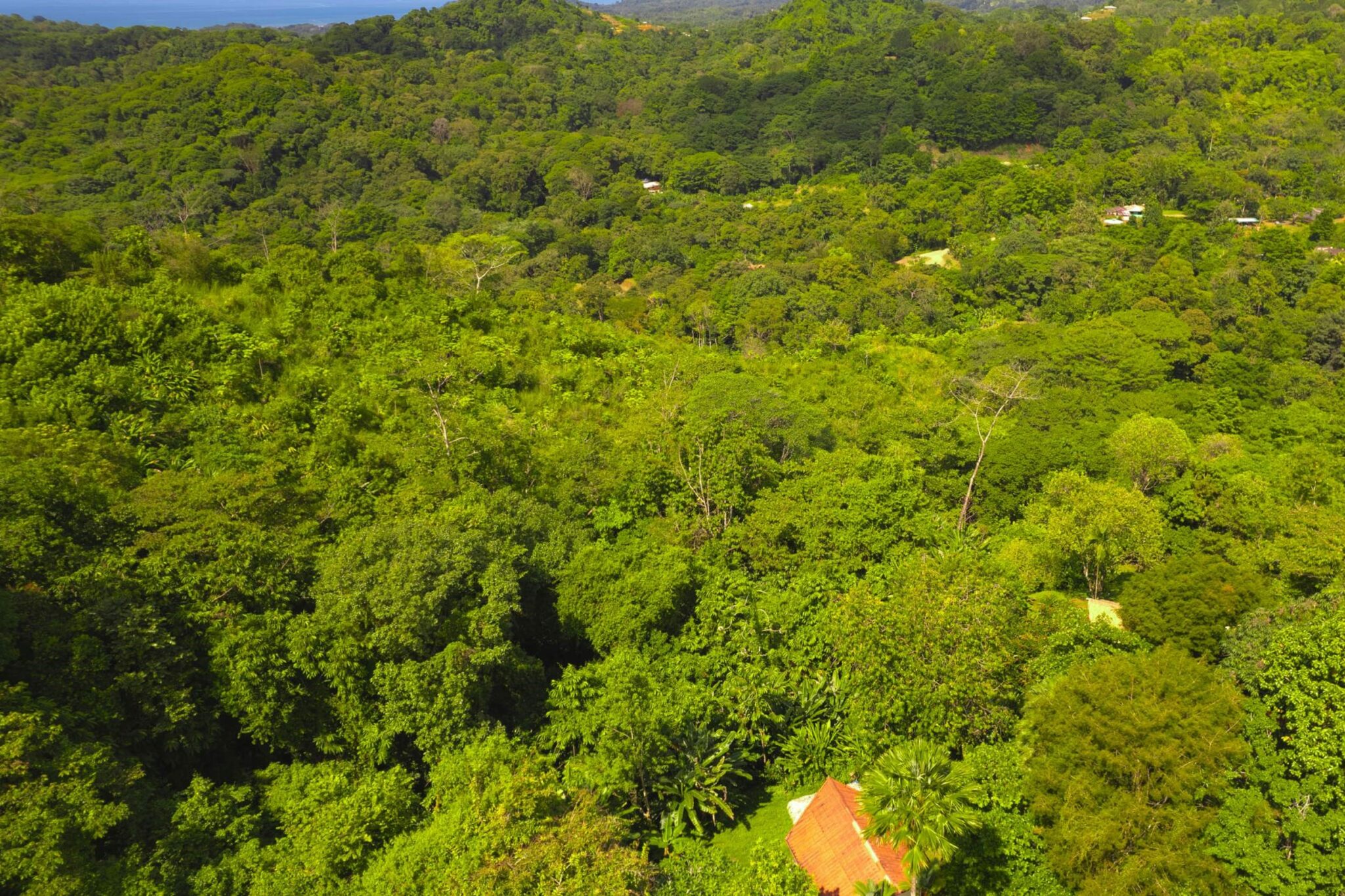 Tres Rios (Vergel) Bungalow Cozy Sunset Ocean-View Bungalow on 3.5 Acres of Jungle with Creeks, & Abundant Wildlife in Tres Rios Costa Rica