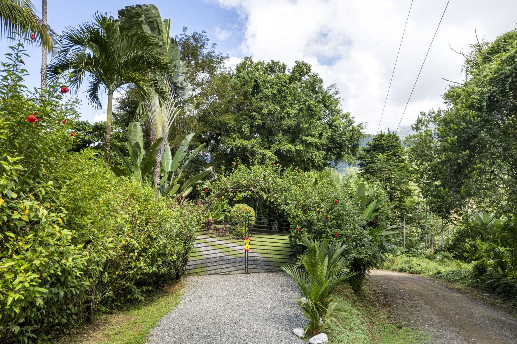 Tres Rios (Vergel) Bungalow Cozy Sunset Ocean-View Bungalow on 3.5 Acres of Jungle with Creeks, & Abundant Wildlife in Tres Rios Costa Rica