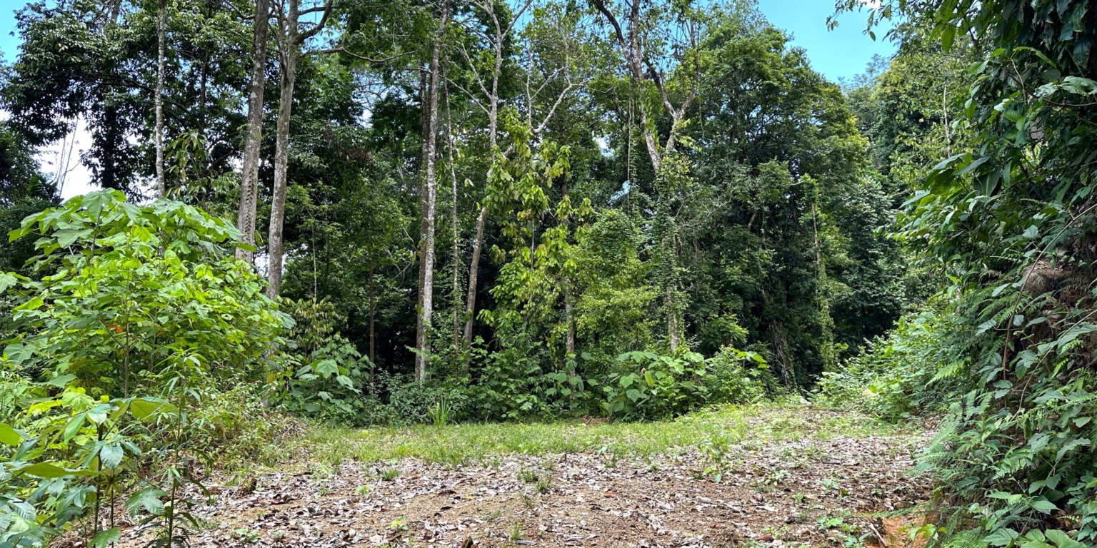 17 5+ Acres of Land with 4 Building Sites, Ocean Views, Rivers & Jungle with Wildlife on Cinco Ventanas Road in Ojochal Costa Rica