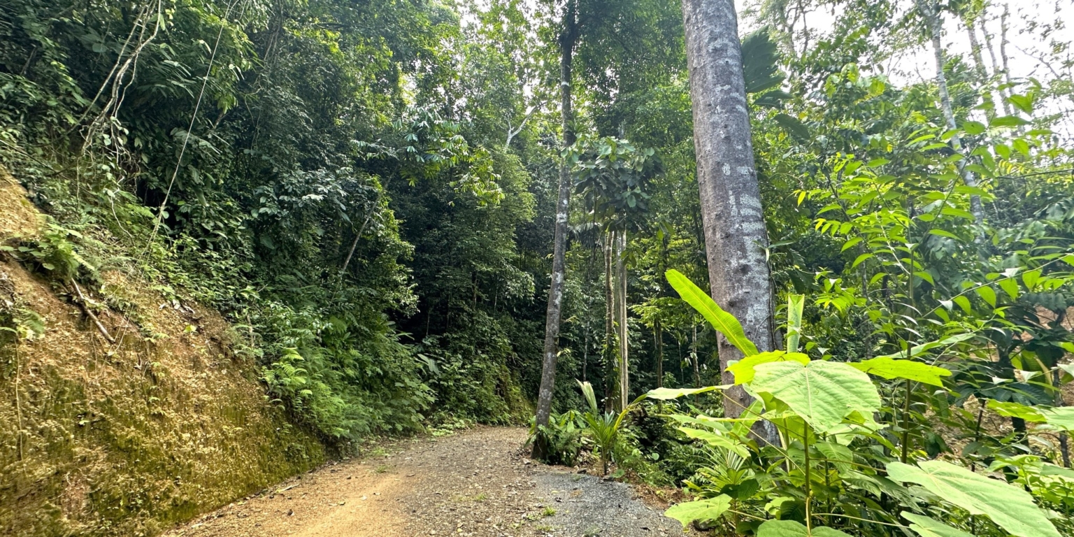 19 5+ Acres of Land with 4 Building Sites, Ocean Views, Rivers & Jungle with Wildlife on Cinco Ventanas Road in Ojochal Costa Rica