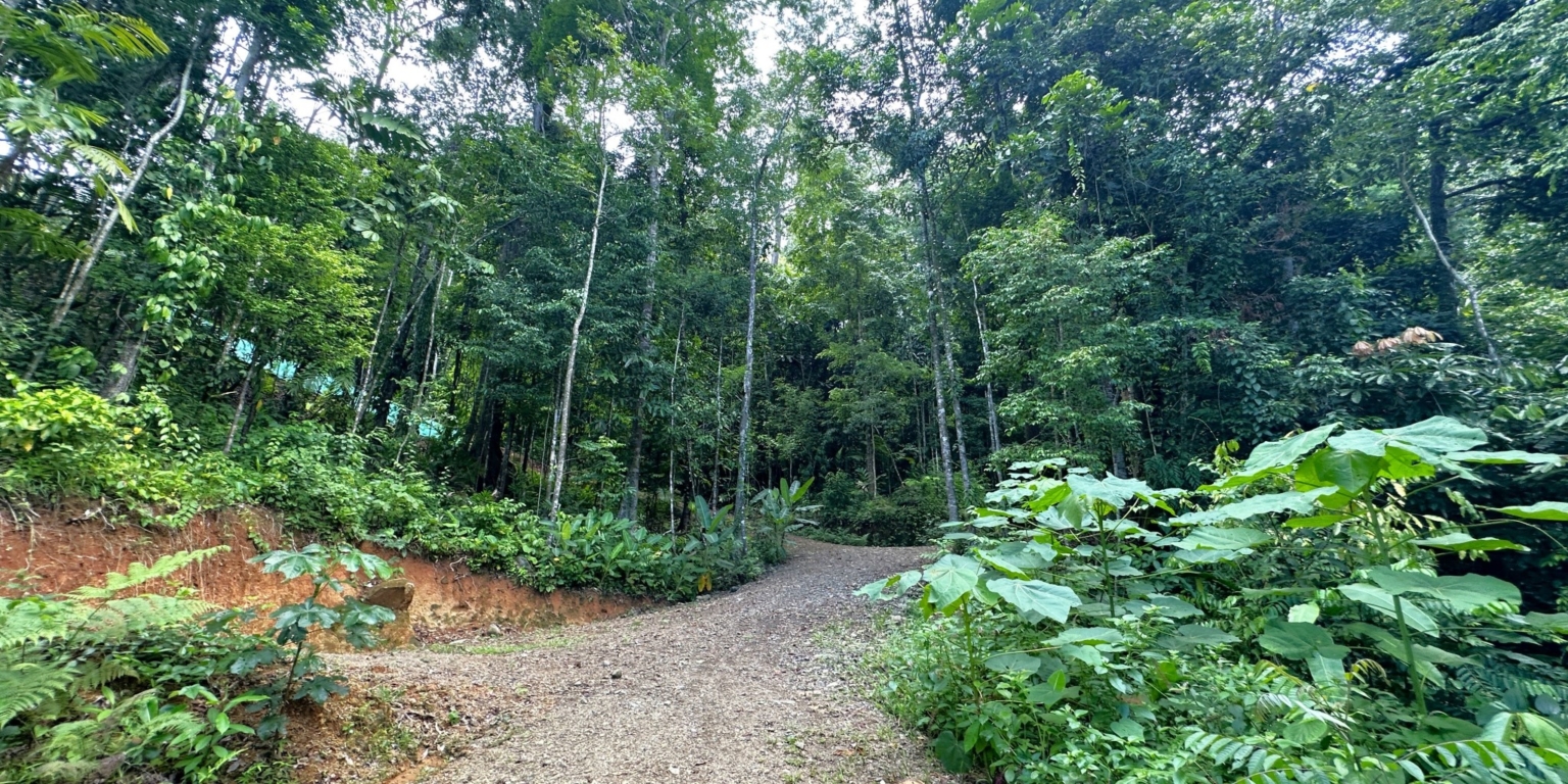 20 5+ Acres of Land with 4 Building Sites, Ocean Views, Rivers & Jungle with Wildlife on Cinco Ventanas Road in Ojochal Costa Rica