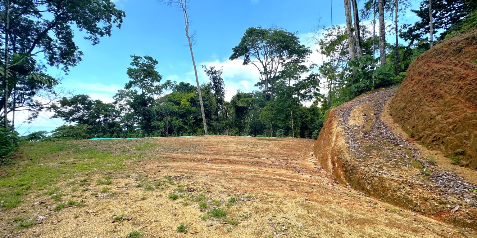 21 5+ Acres of Land with 4 Building Sites, Ocean Views, Rivers & Jungle with Wildlife on Cinco Ventanas Road in Ojochal Costa Rica