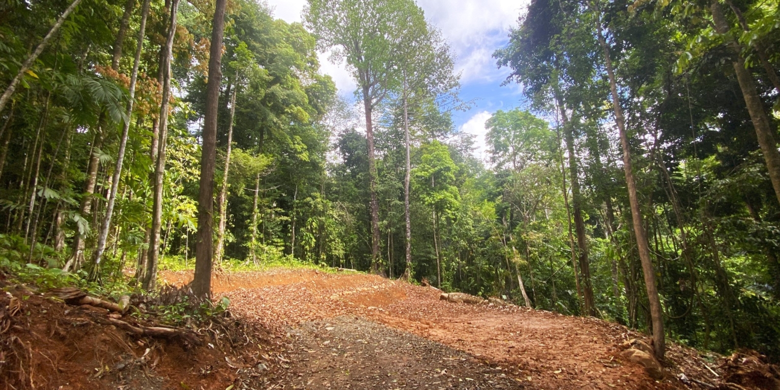 4 5+ Acres of Land with 4 Building Sites, Ocean Views, Rivers & Jungle with Wildlife on Cinco Ventanas Road in Ojochal Costa Rica