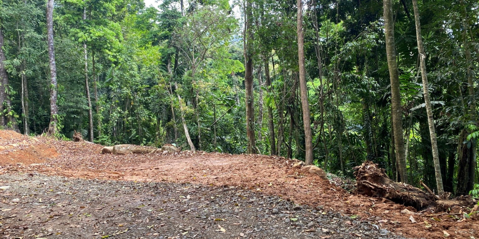 5 5+ Acres of Land with 4 Building Sites, Ocean Views, Rivers & Jungle with Wildlife on Cinco Ventanas Road in Ojochal Costa Rica
