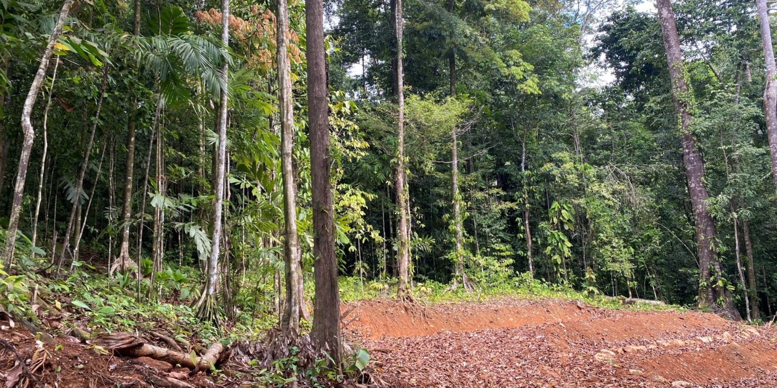 6 5+ Acres of Land with 4 Building Sites, Ocean Views, Rivers & Jungle with Wildlife on Cinco Ventanas Road in Ojochal Costa Rica